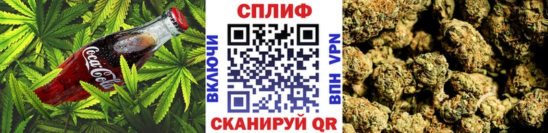 Cannafood конопля  Чаплыгин 
