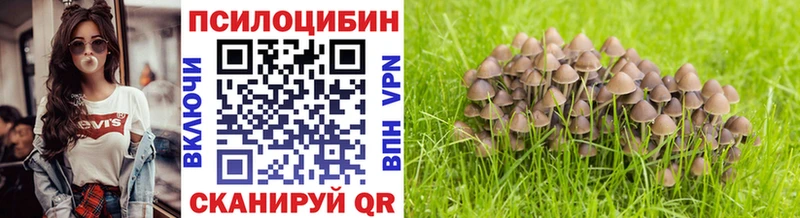 Псилоцибиновые грибы Cubensis  маркетплейс официальный сайт  Чаплыгин  дарнет шоп 